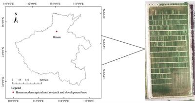 Automatic grading evaluation of winter wheat lodging based on deep learning